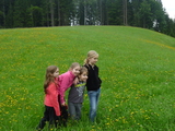 2010-08 Austria